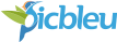 logopicbleu