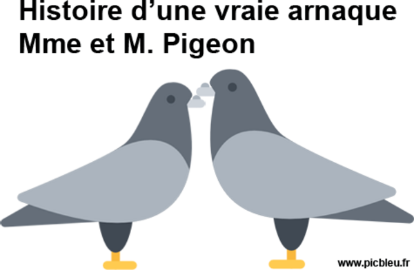 pigeons