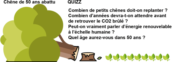 bois énergie quizz