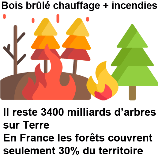 Les forêts disparaissent