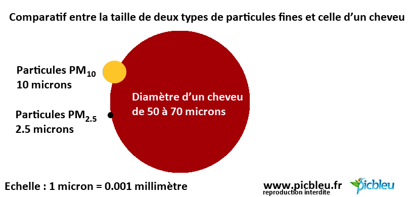 Comparatif-taille-particules-fines-et-cheveu-Picbleu