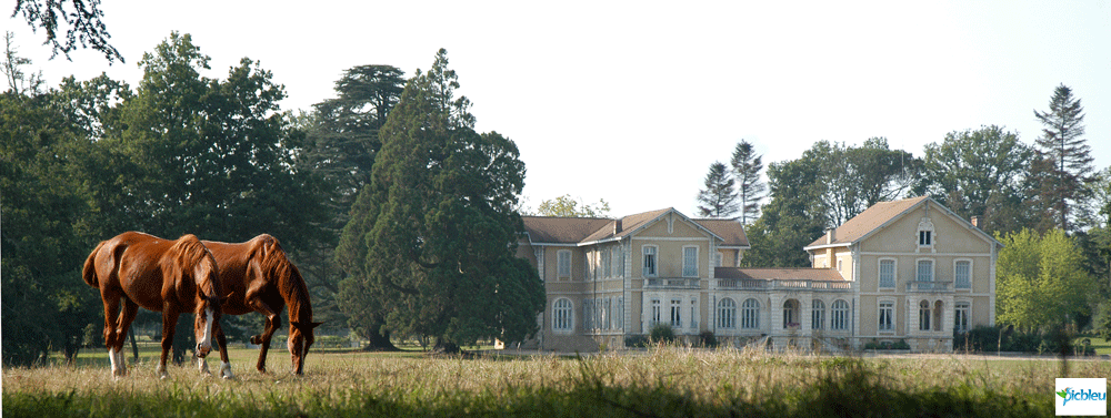 demeure-exception-parc-château-chevaux-patrimoine-riches-en-France.png