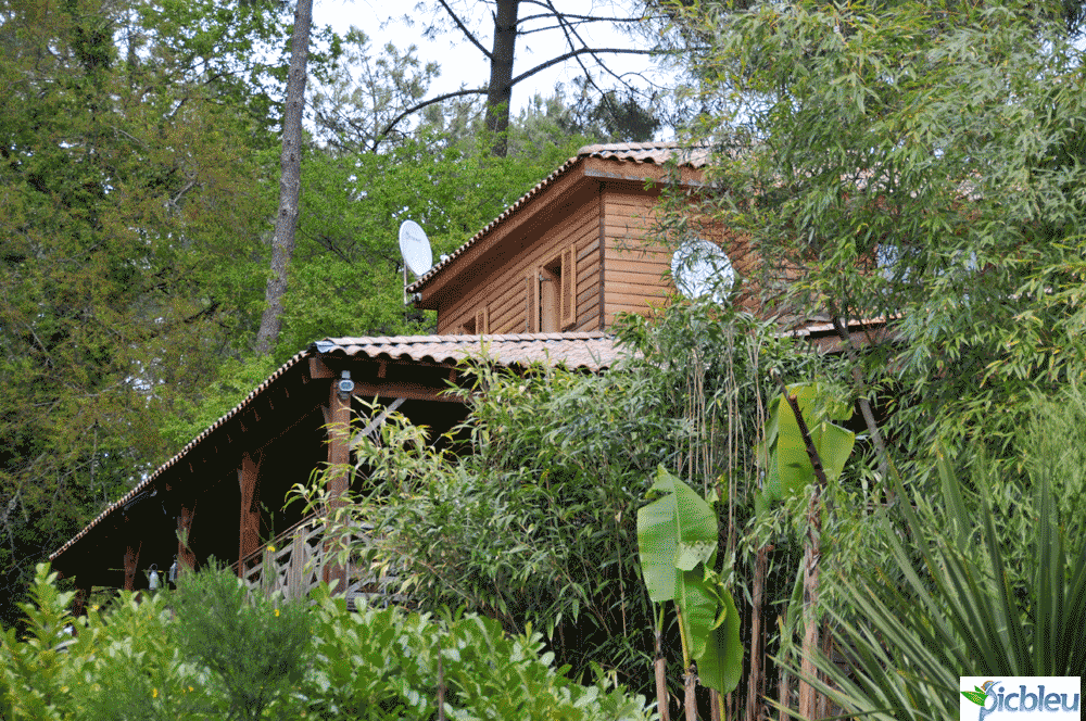 maison-toit-végétalisé.png