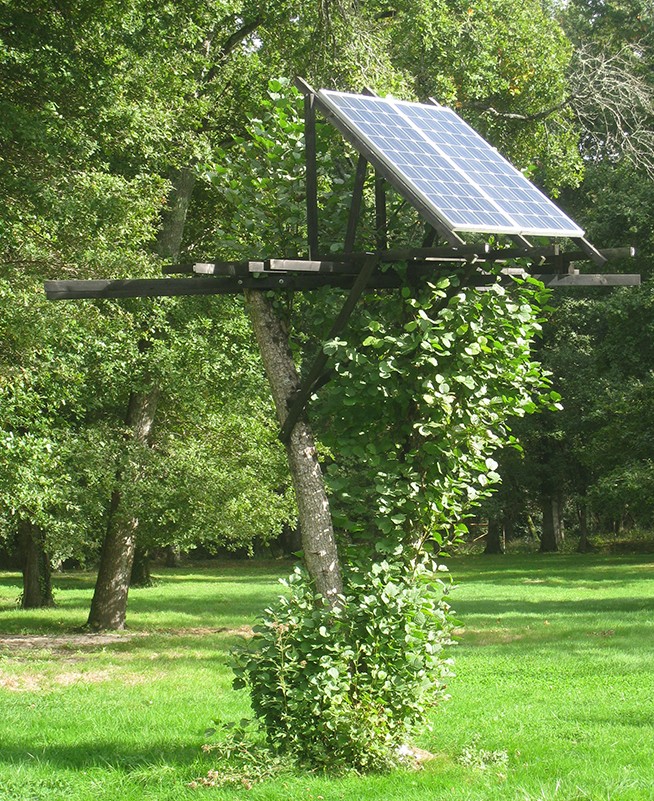 Panneaux-photovoltaiques-électricité-autoconsommation-Photo-Picbleu.jpg