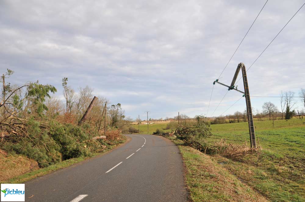 tempête-arbres-coupés-poteau-électrique-plié-par-vent