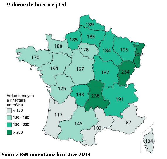 Bois-sur-pied-France-inventaire-forestier-IGN