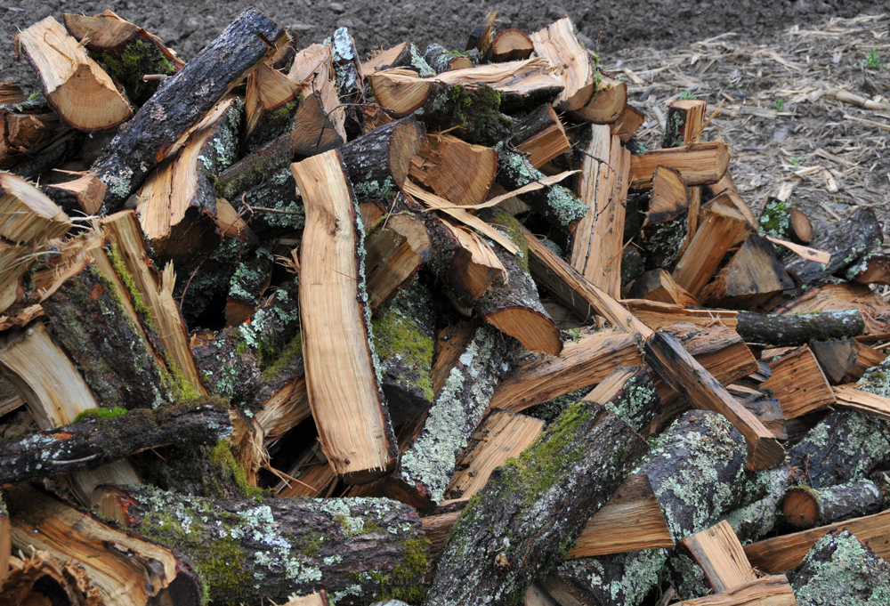 Buches-de-bois-chauffage-biomasse