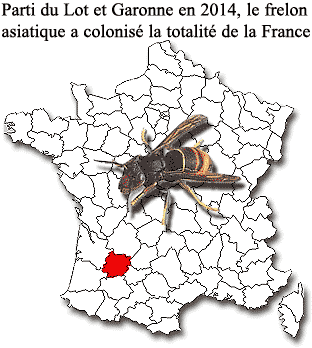 Carte-france-invasion-frelon-asiatique-depuis-2014