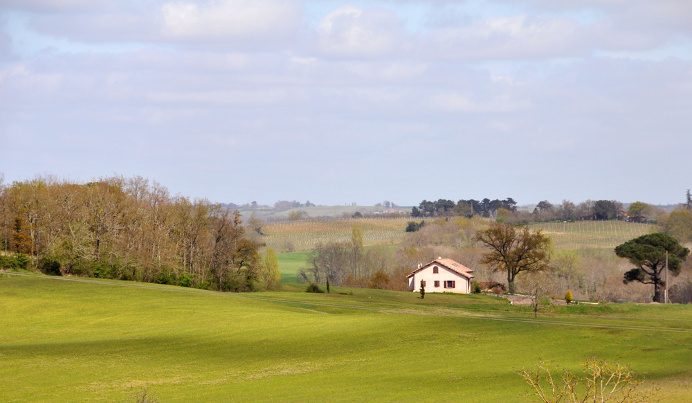 Maison-ancienne-a-vendre-en-campagne