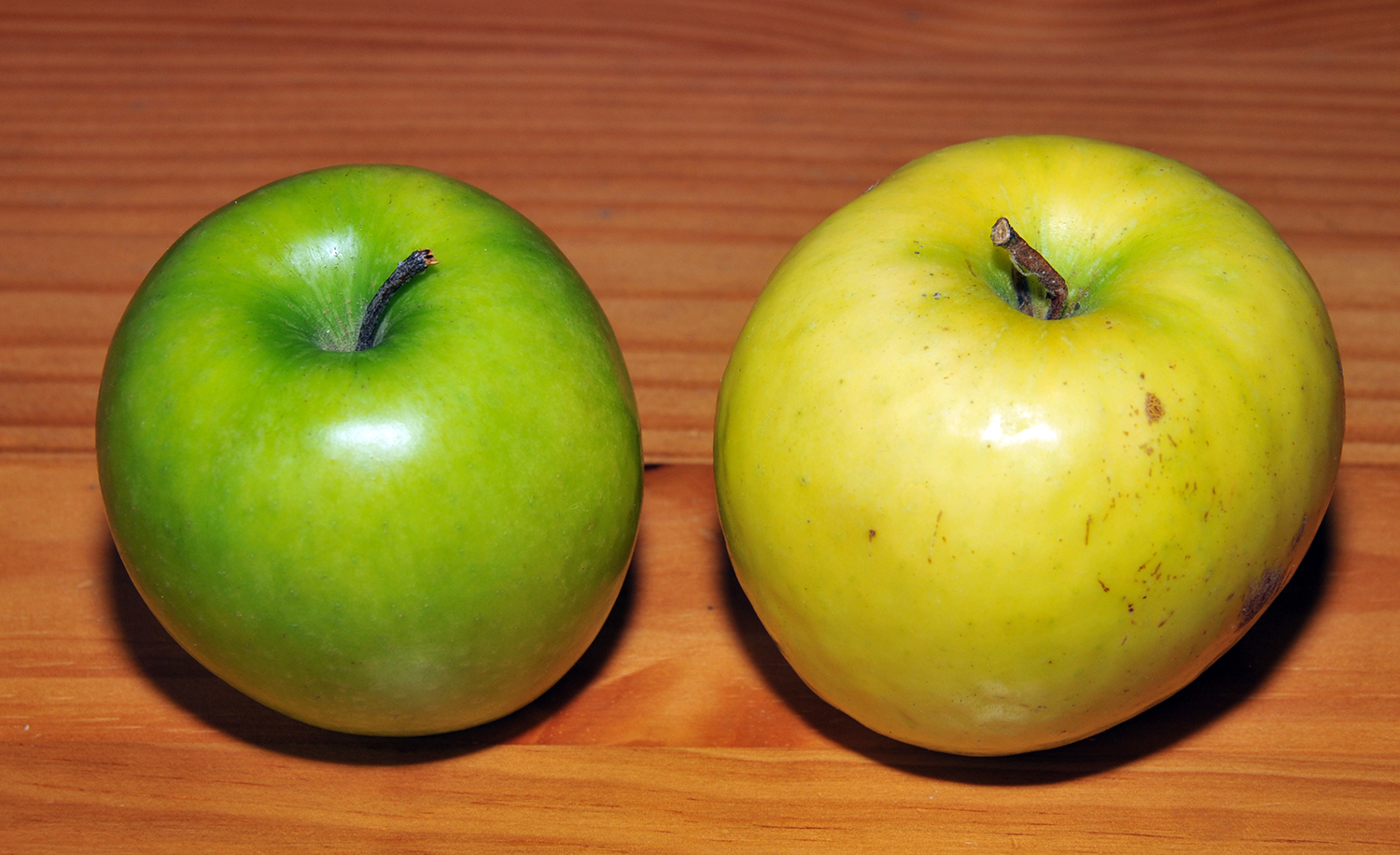 pomme bio et non bio