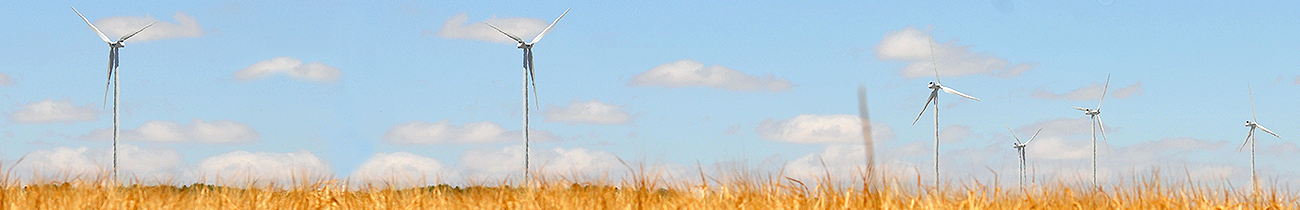 Champ d'éoliennes