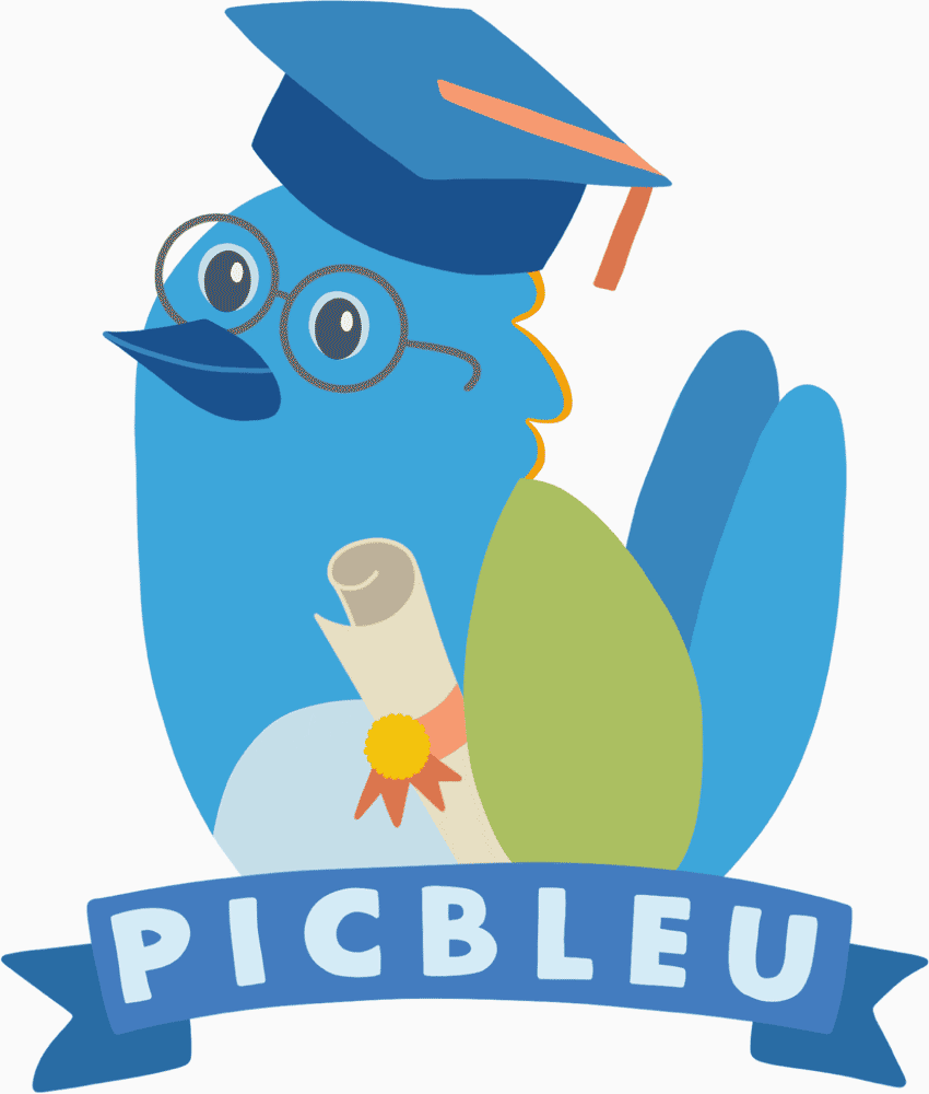 Picbleu